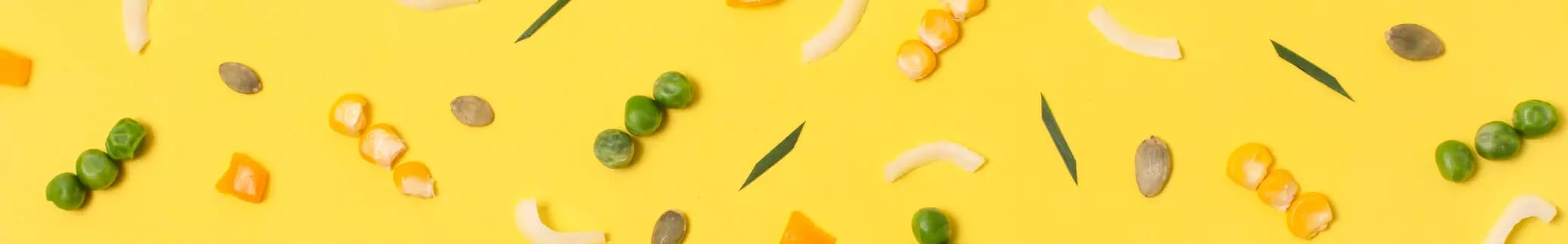 Warme Vorspeisen placeholder